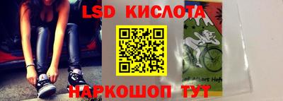 прущие грибы Краснодар