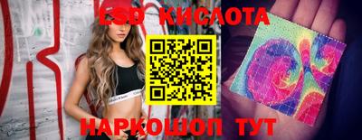 прущие грибы Краснодар