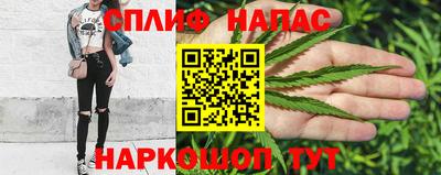 индика Краснознаменск