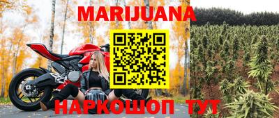 прущие грибы Краснодар
